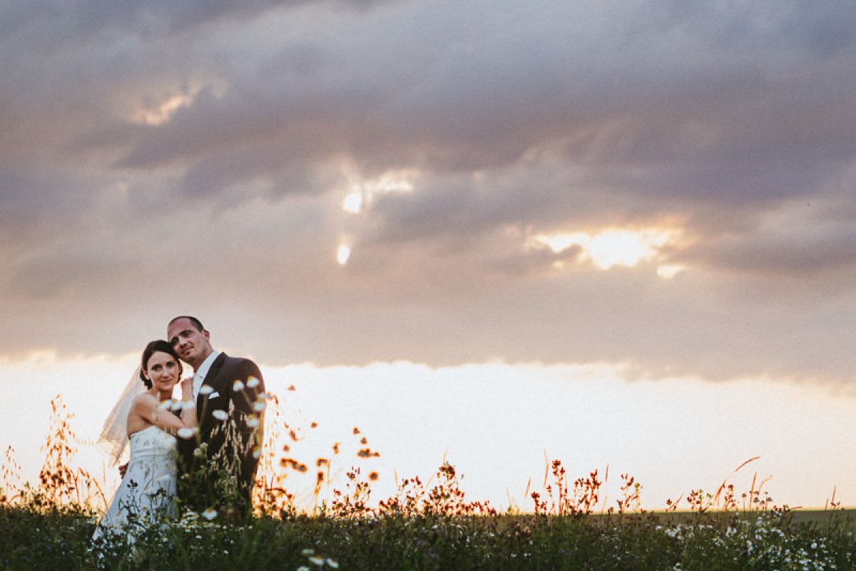 Wedding photos in the fields of the Pfalz