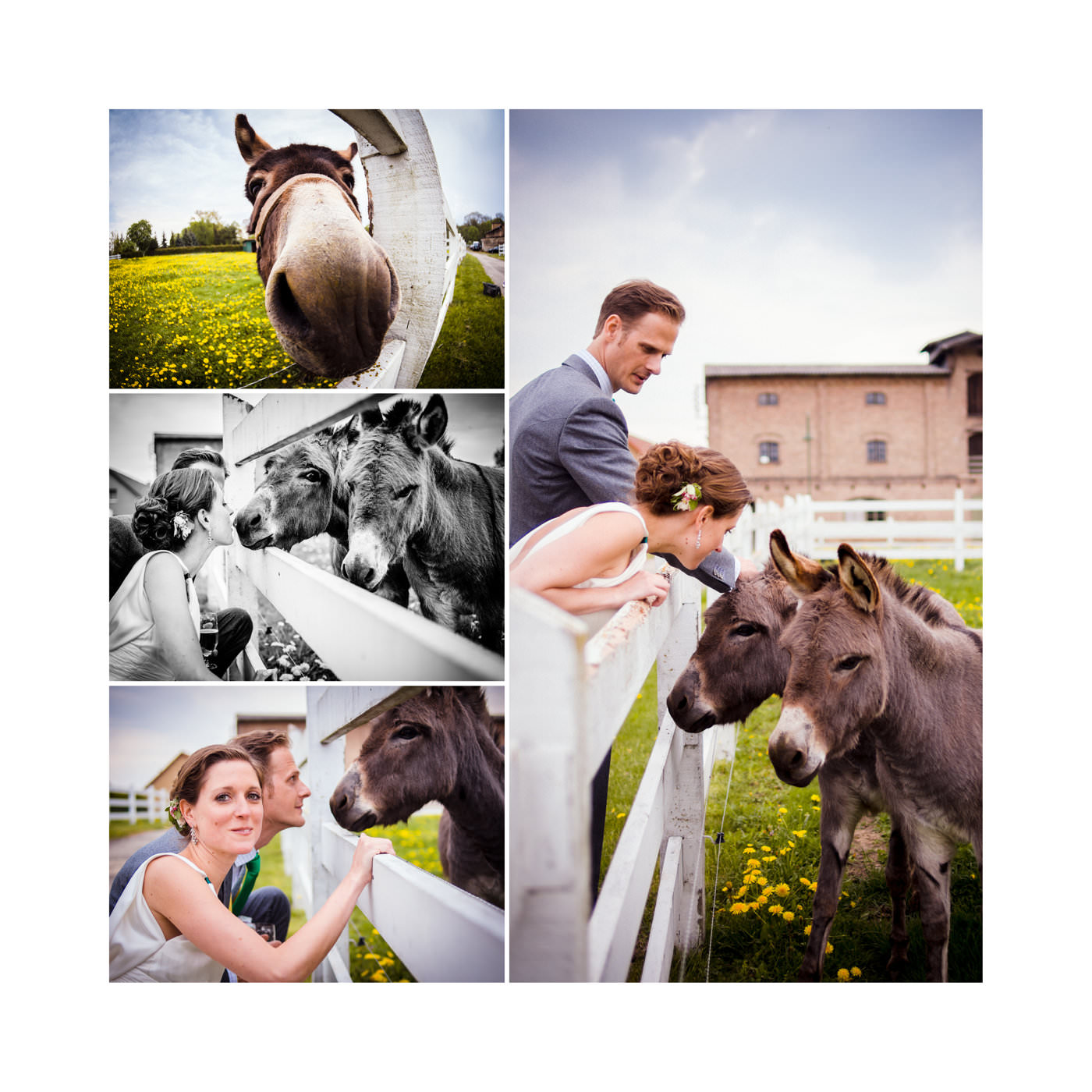 Caro &amp; Albi | Wedding at Gushof Wilsickow in the Uckermark, North of Berlin, Germany