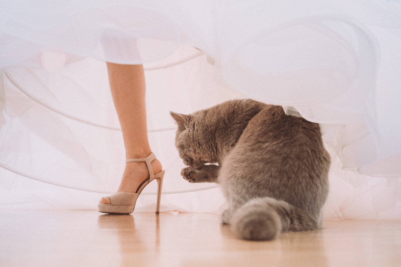 Hochzeit auf Hofgut Georgenthal - Märchenhafte Hochzeit im Taunus mit fantastischen Portraits