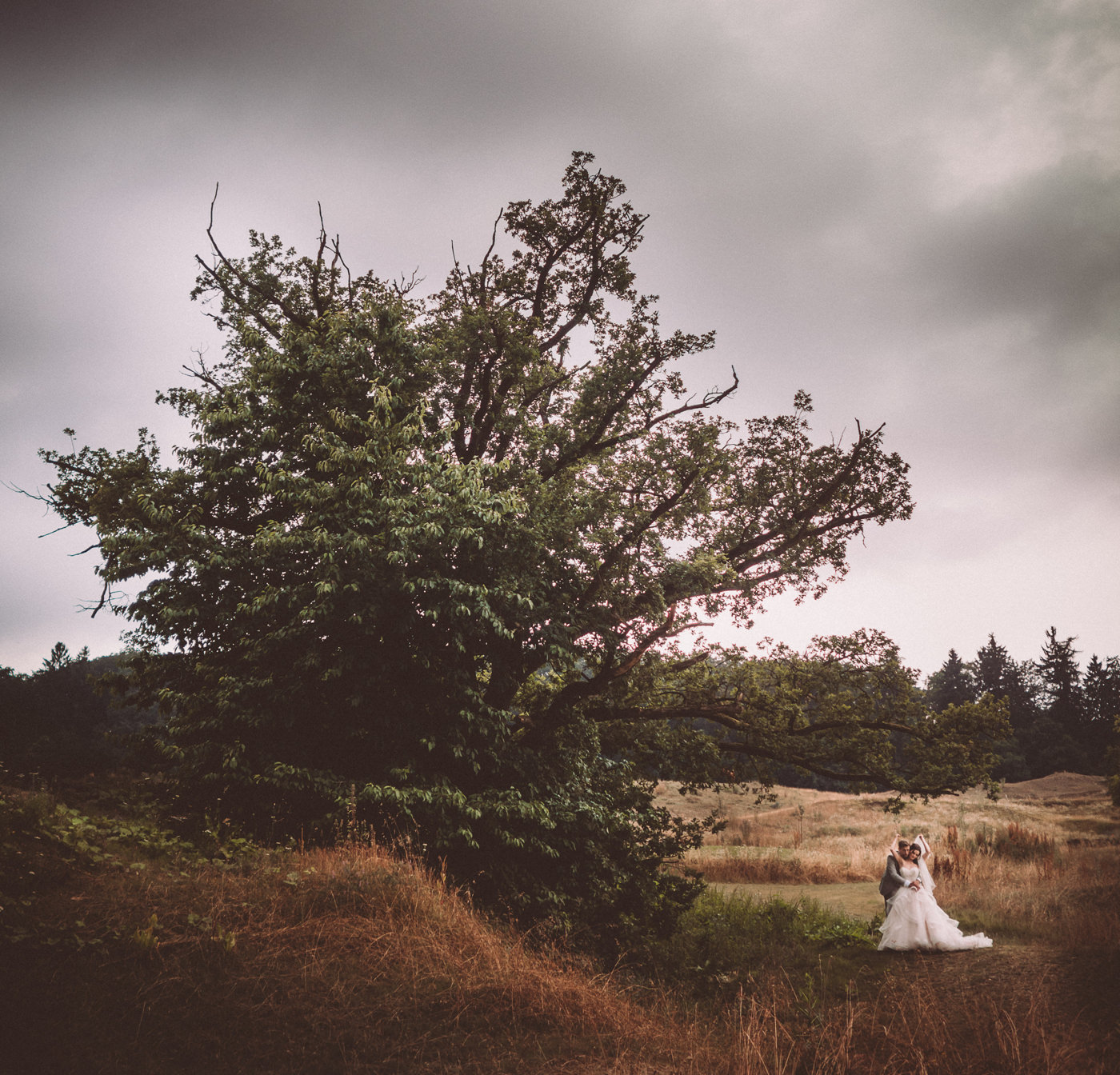 Wedding at Hofgut Georgenthal - a fairytale wedding with fantastic portraits in the hills of the Taunus