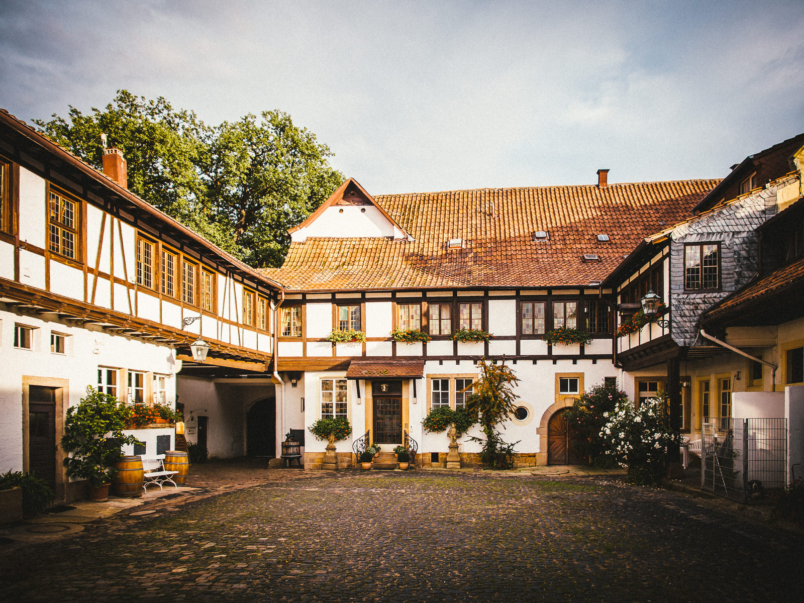 Ari & Philliip | Hochzeit auf dem Weingut Fitz-Ritter in Bad Dürkheim