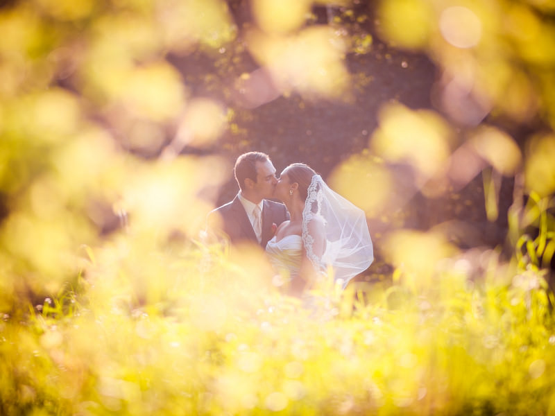 Ein Jahr Hochzeitsfotografie mit der OM-D