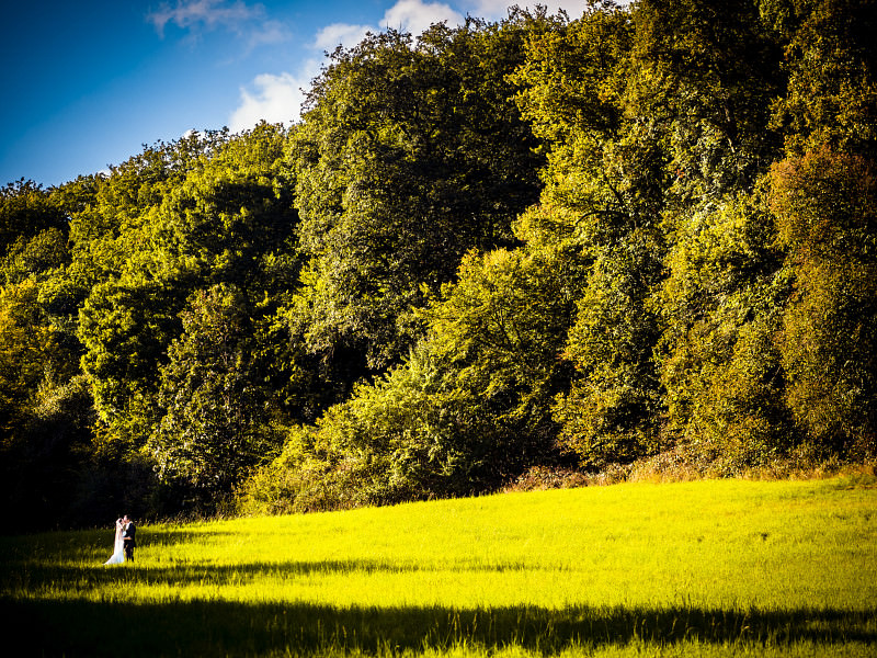 Ein Jahr Hochzeitsfotografie mit der OM-D