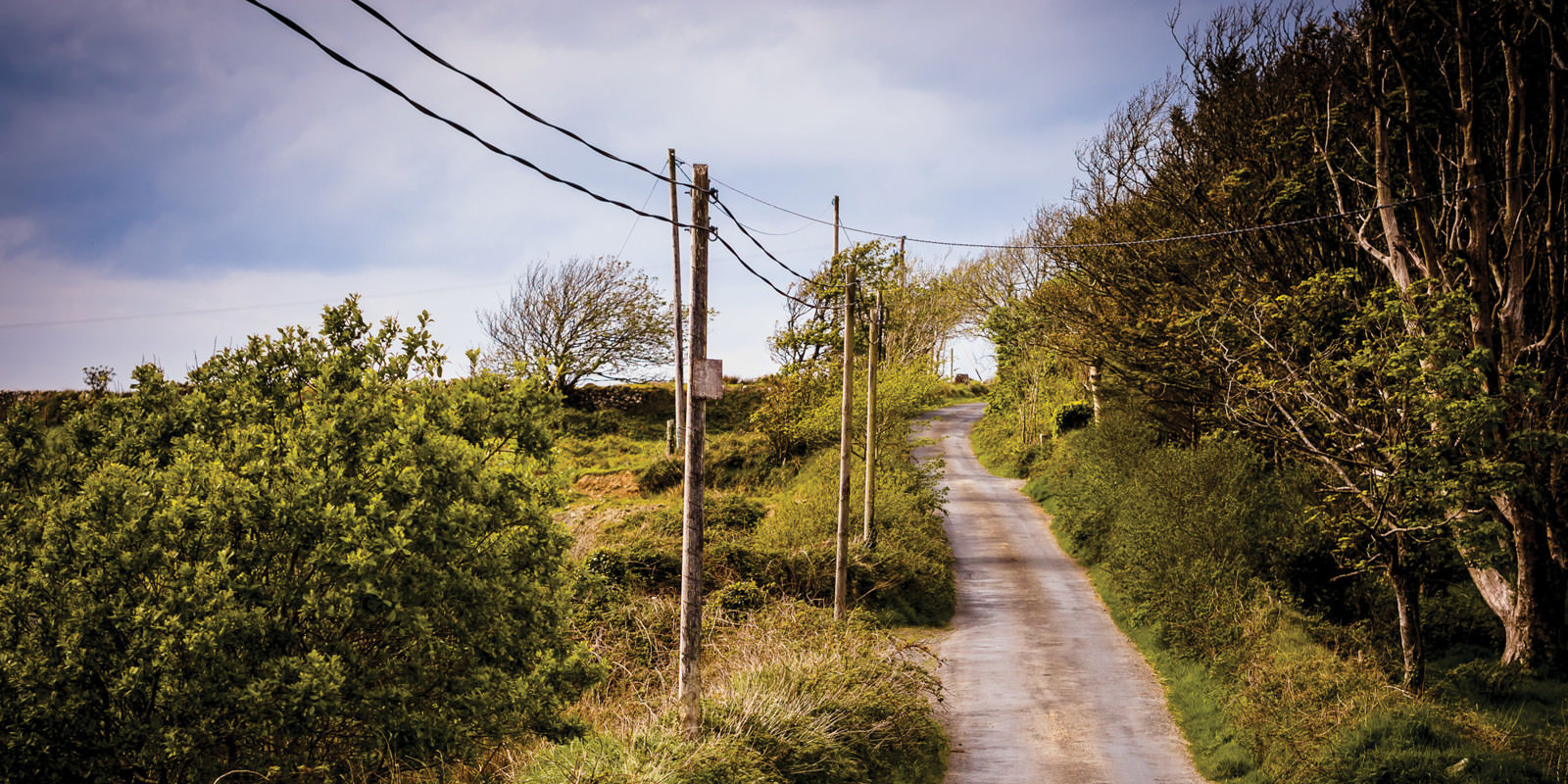 Caitriona & Paudie | A full Irish Wedding - Eine Hochzeit in Irland