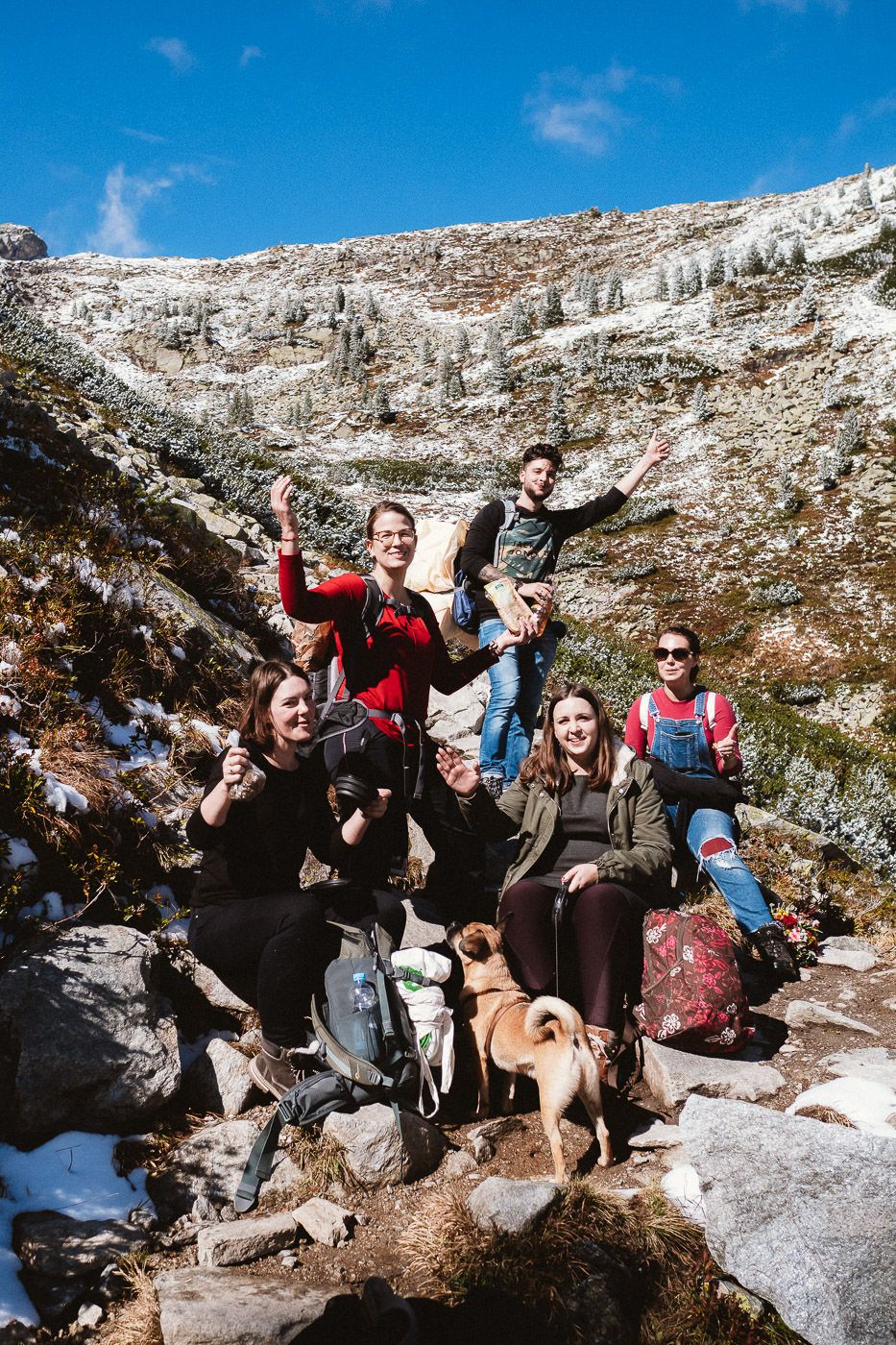 Das Hochzeitsteam am Berg - Fotografin Saja Seus, Traurednerin Christina Feix, Mops-Mix Hugo, Bräutigam David, MakeUp-Artist Carmen Habl und Braut Jessi (von links nach rechts)