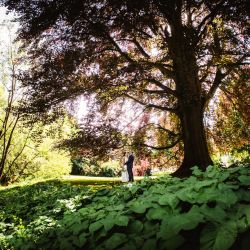 Hochzeit in der Wetterau und Frankfurt am Main - Hochzeitsfotos im Kurpark von Bad Nauheim