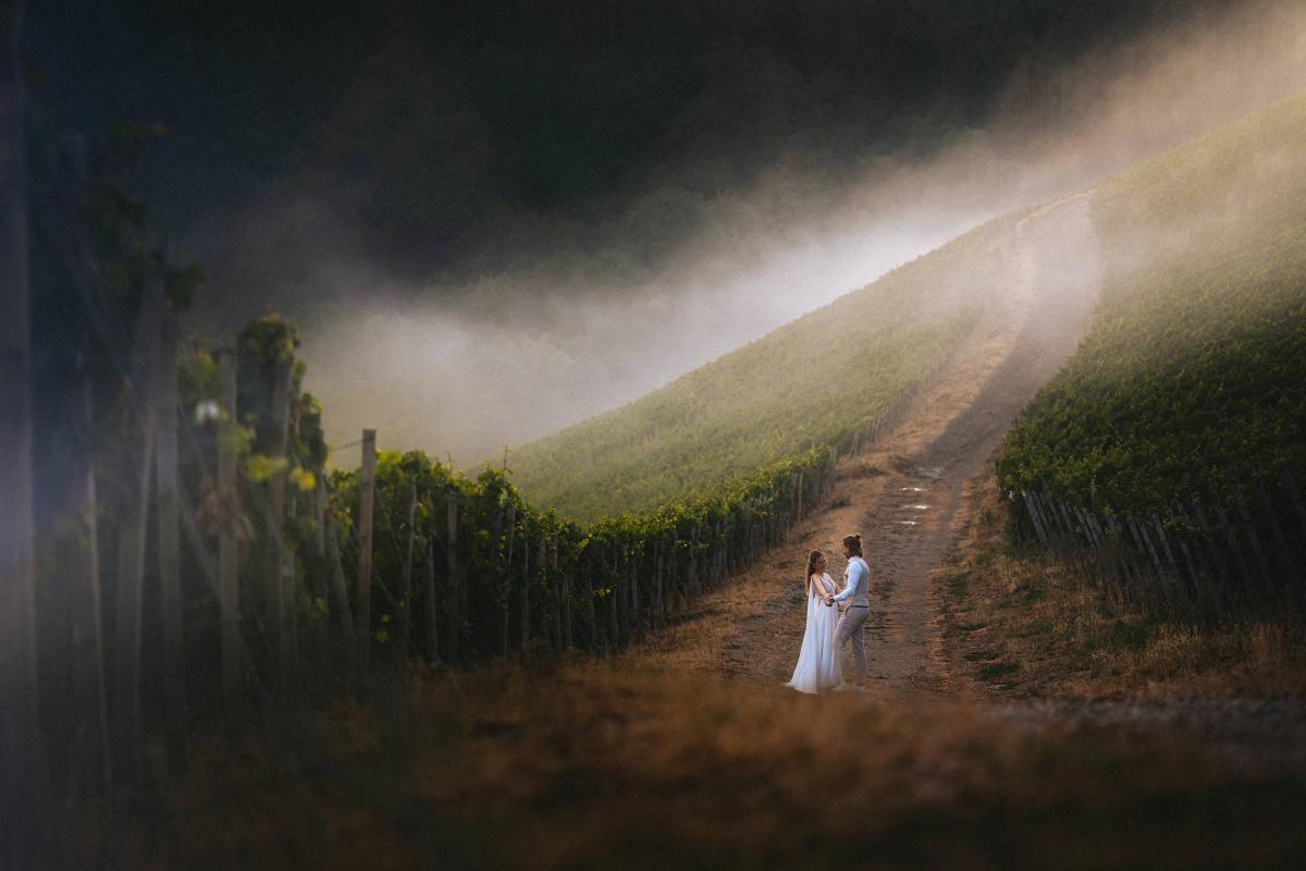 Bridal couple in a misty vinyard in Rheingau, Germany