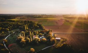 Heiraten und Feiern in der Weidenmühle in Flörsheim - entspannte Hochzeitslocation am Tor zum Rheingau
