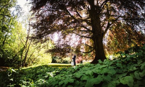 Hochzeit in der Wetterau und Frankfurt am Main - Hochzeitsfotos im Kurpark von Bad Nauheim