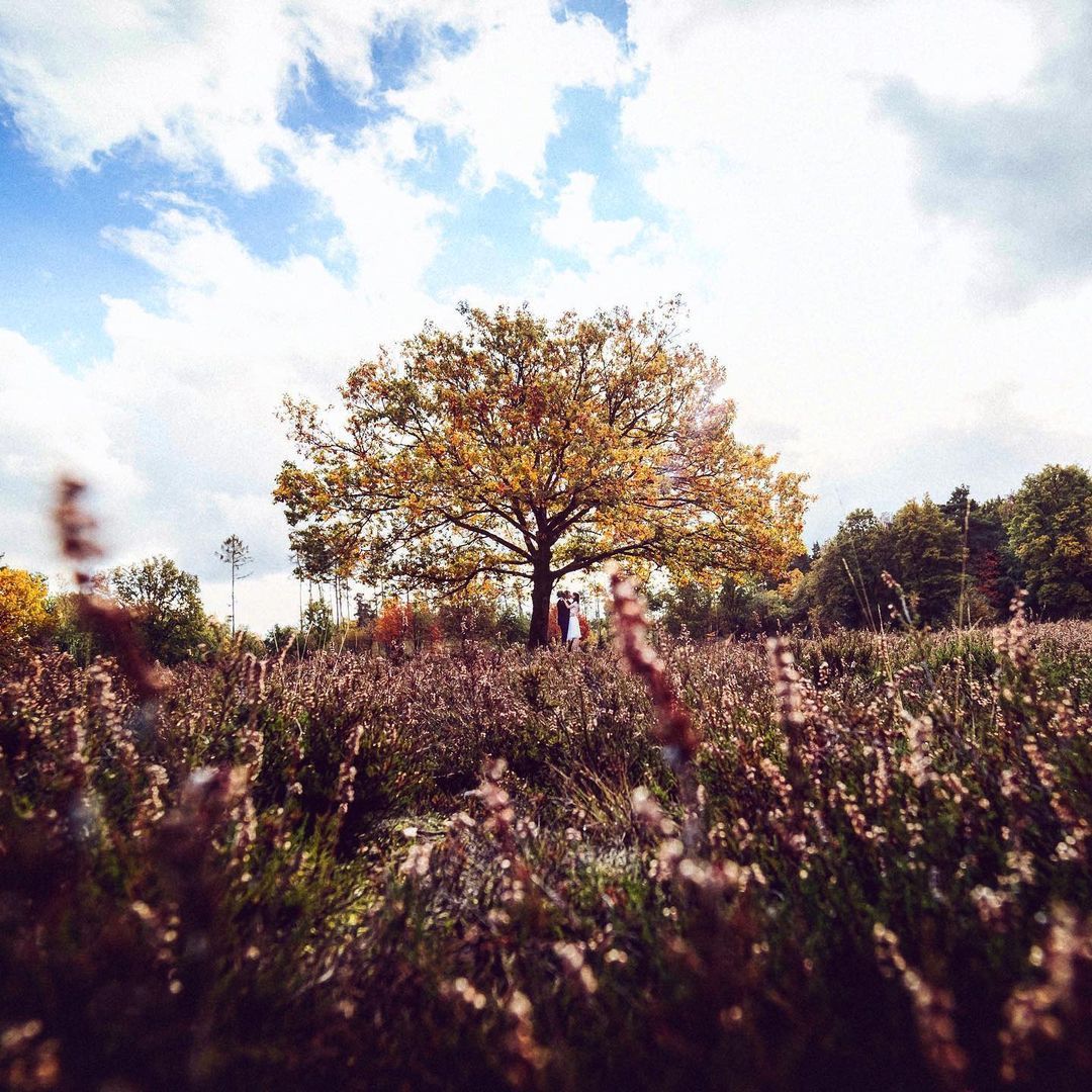 Hochzeitsfotos mit dem Vintagebus auf den Feldern im Hochtaunus - Hochzeitsfotograf Taunus Brautrausch